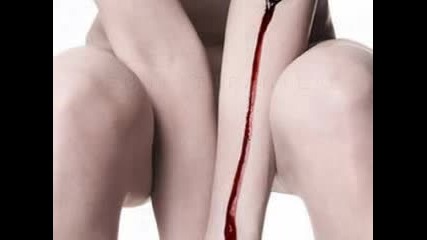 Blood