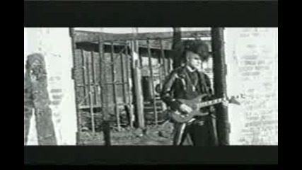 Ex - Voto - If I Never