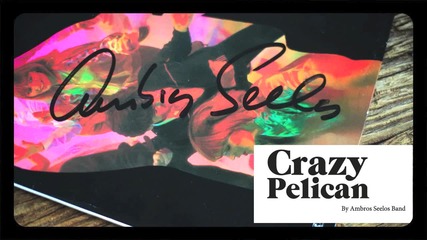 Ambros Seelos Orchestra -crazy pelican-- German Space Disco 1978