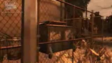 Gta Iv Mission 34 - Have a Heart