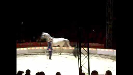 Cirkus Finlandia 2008 - Дресура На Кон И Пони