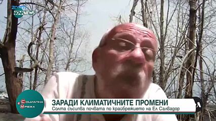 Заради климатичните промени: Солта съсипва почвата по крайбрежието на Ел Салвадор