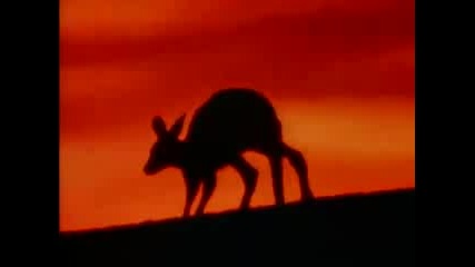 Talk Talk - It s My Life
