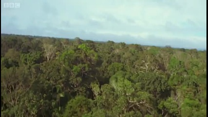 Environment vs Development - Amazon Truth and Myth - Bbc