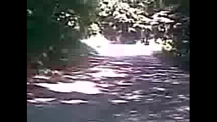 Рали Узана 2008