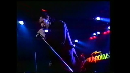 Teardrops must Fall - Mink Deville - Rockpalast Essen 1981 