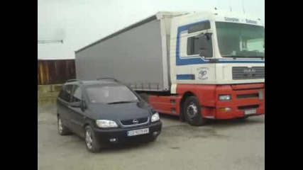 Scorpion - Dadarov