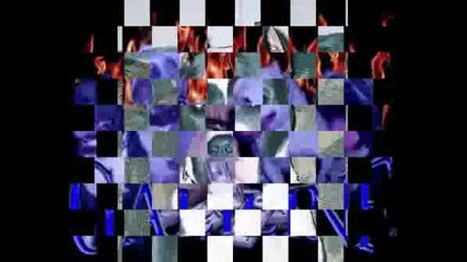 Pitbull Team .wmv