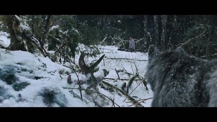 The Grey -trailer [720p]