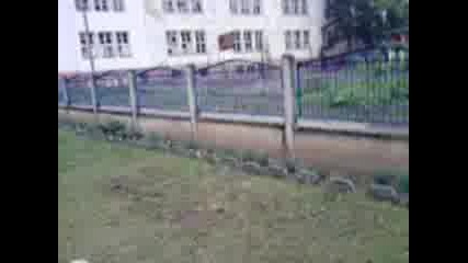 Трябва Да Се Види.много Смях