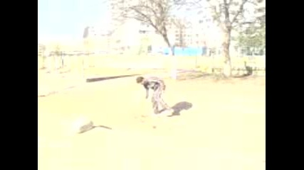 Chase