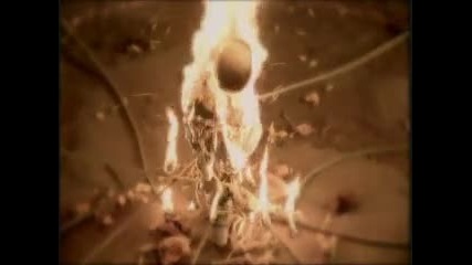 Селин Дион - 02.06.11
