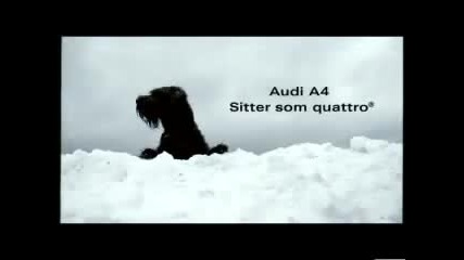 Много Яка!!! Реклама на Audi Quattro
