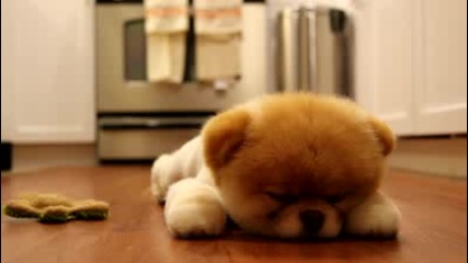 Boo `muse Lullaby`