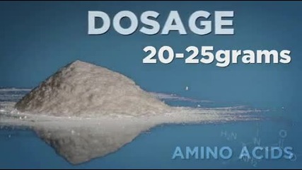 Bodybuilding.com Guide to Amino Acids 