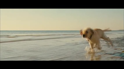 Marley And Me (hd Clip)