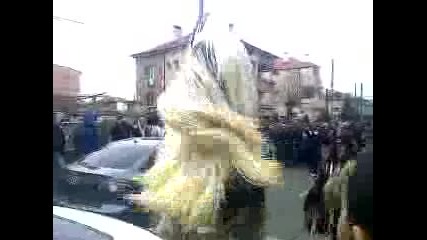 koceto kuker