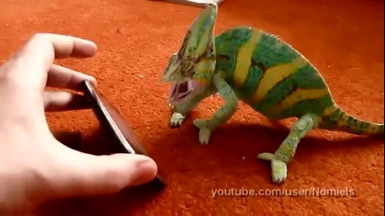 Хамелеон се стряска от смартфон