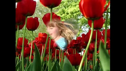 Secret Garden - Serenade to Spring