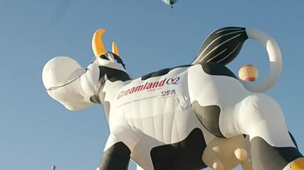Стотици балони с горещ въздух се издигнаха в небето над Ню Мексико