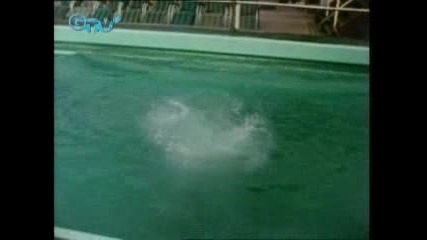 Безкрайни безсмислици / Nonstop Nonsens, Епизод 3 