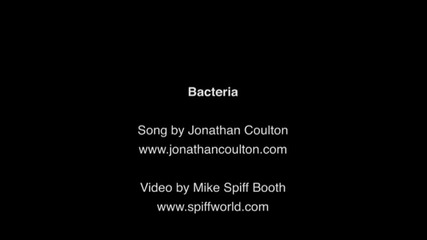 Bacteria