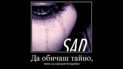 sali bend 2012