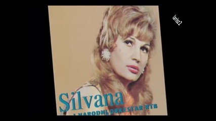 Silvana Armenulic - Ludujem Za Tobom 