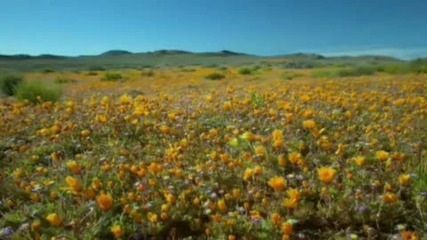 Samsara Music By Gandalf [hd]