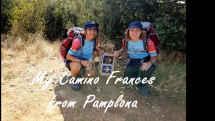 Camino Frances 2019 - from Pamplona