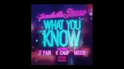*2014* Dj Sense ft. T Pain, K Camp & Migos - What you know