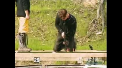 Mythbusters - Отвор В Пода Чрез Стрелба