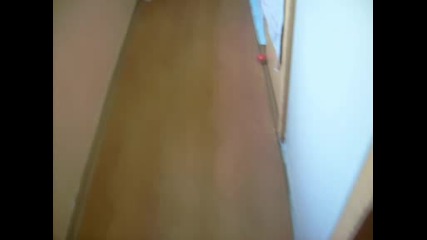 Kotka igrae futbol