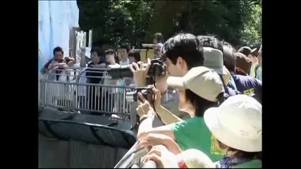 Прохлада за полярни мечки
