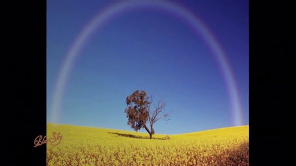 Message of the rainbows