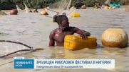 В търсене на най-големия сом: Хиляди влязоха в реката в Аргунгу
