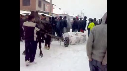 probi v ihtiman