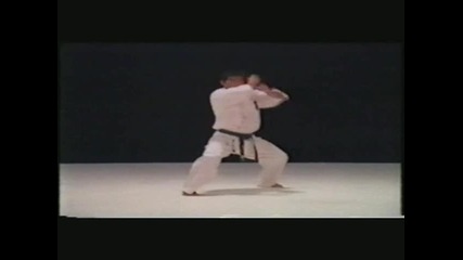 Kyokushin - kiba dachi - block - punch 