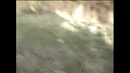 Инцидент с каравана