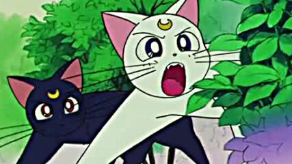 Sailor Moon R Episode 5