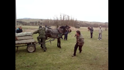 Тодоров ден в Златица 