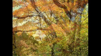 Autumn Leaves Eva Cassidy