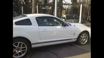 Shelby Gt500 v Sofiq