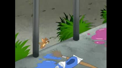 Tom & Jerry