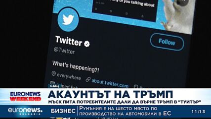 Мъск пусна анкета в Туитър дали да възстанови профила на Тръмп