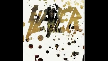 Slayer - Flesh Storm 