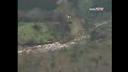 Rally Instambul - Vouiloz