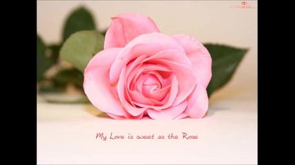 Любов- Love
