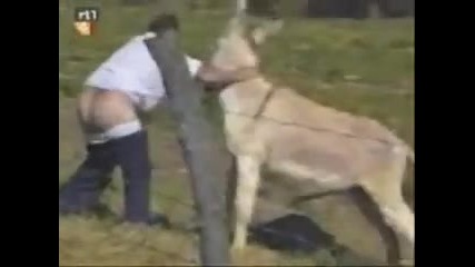 Ти Можеш Ли Така *смях* 