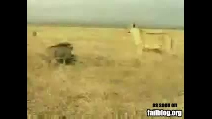 Глиган срещу Лъв